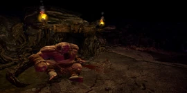 Cave containing an Ogre