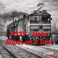 #339