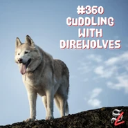 #360