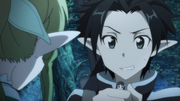 Kirito tries to hide Yui from Leafa