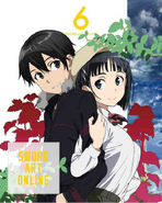 Kirigaya Kazuto with Kirigaya Suguha on the cover of SAO's sixth Blu-Ray DVD