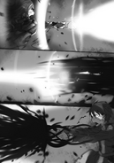 Fanatio and Kirito simultaneously unleashing their weapons' Armament Full Control Arts at each other.