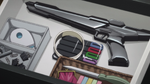 Procyon SL.png