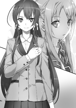 Sword Art Online 21 (light novel): Unital Ring I
