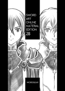 Eugeo Synthesis Thirty-two with Kirito Synthesis Thirty-three on the cover of Material Edition 28.