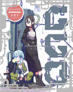 Kirito with Sinon on the cover of the Sword Art Online II Blu-ray Disc compilation box.