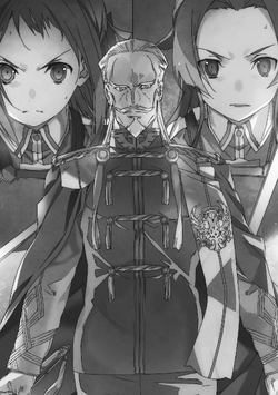 Sword Art Online Light Novel Volume 20, Sword Art Online Wiki