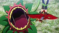 Silica attacked by flower monster