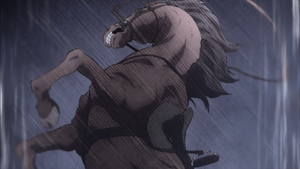 Horse