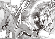 Kirito severing Raios's arms during their fight.