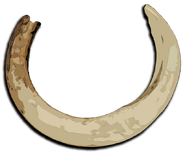 Boar Tusk