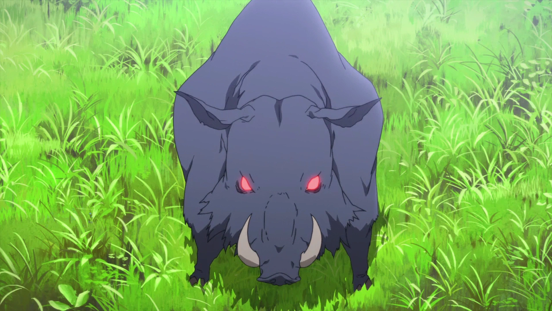 ★MPB Wild Boar★SR★Fade bream 2★ ☆MPB Wild Boar☆SR☆Fade bream 2☆ Limited Release - Wild