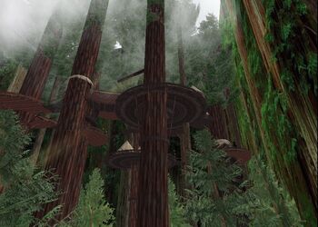 The Forest Moon of Endor