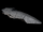 Strike-Class Medium Cruiser