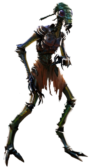 Verpine.png