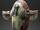 Slave I