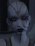 Kaliyo Customization 8