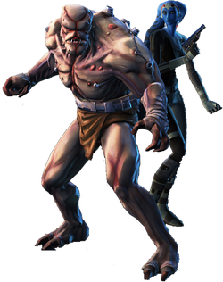 Companions-Img.png