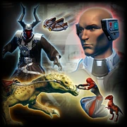 Possible items found in the pack