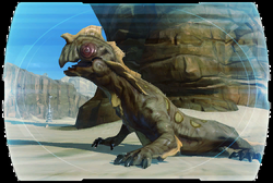 Rill codex illustration