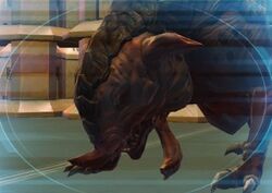 Salky Hound Codex Illustration