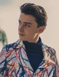 Noah Schnapp, Wiki