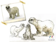 Early concept art of Youki