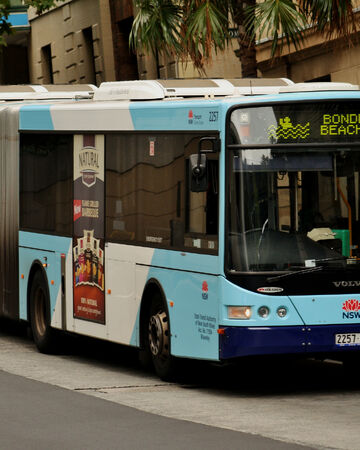 Bus 333 Route Map Route 333 | Sydney Buses Wiki | Fandom