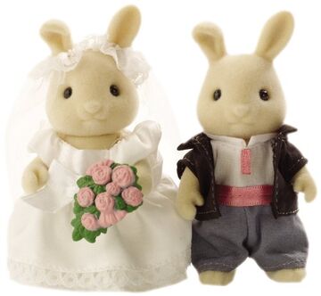 Sylvanian bride and groom clearance