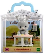 BCC Rabbit in Walker 3380 box.jpg (80 KB) In a box (Rabbit)