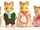 Ginger Cat Family