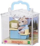 BCC Cat 3350 box.jpg (137 KB) In a box (3350)