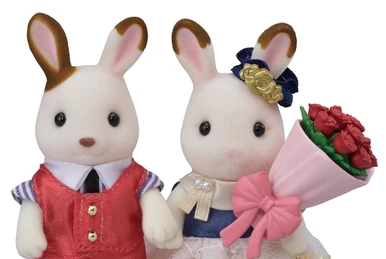 The Babblebrooks' New Arrival | Sylvanian Families Wiki | Fandom