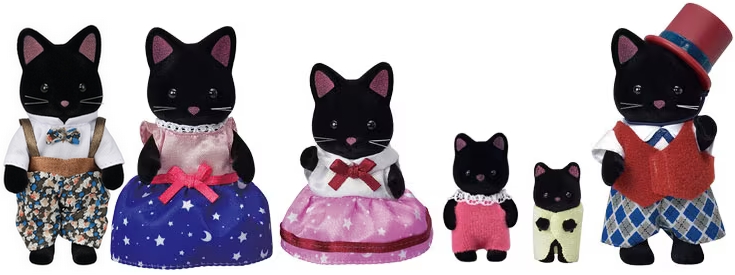 midnight cat family