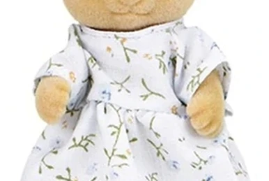 シルバニア⭐️The Babblebrooks' New Arrival⭐️ file.jpg