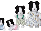 Border Collie Family