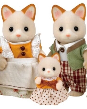 Details about   Sylvanian Families doll Hoshizora cat family FS-37 Fron Japan 