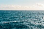 Sea