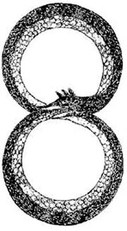 Ouroboros2