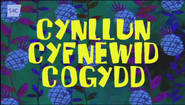 Cynllun Cyfnewid Cogydd