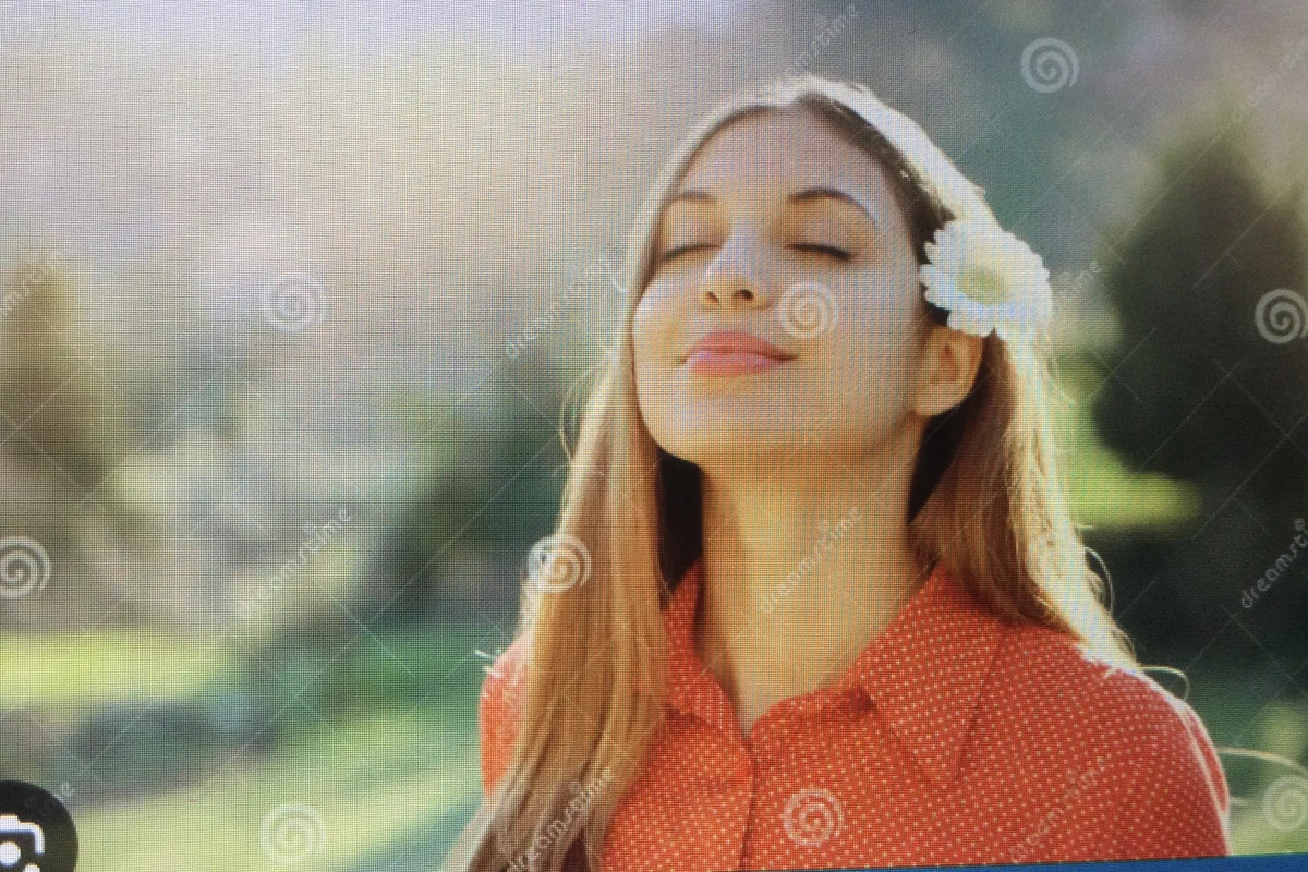 alive-synonyms-synonyms-antonyms-wiki-fandom