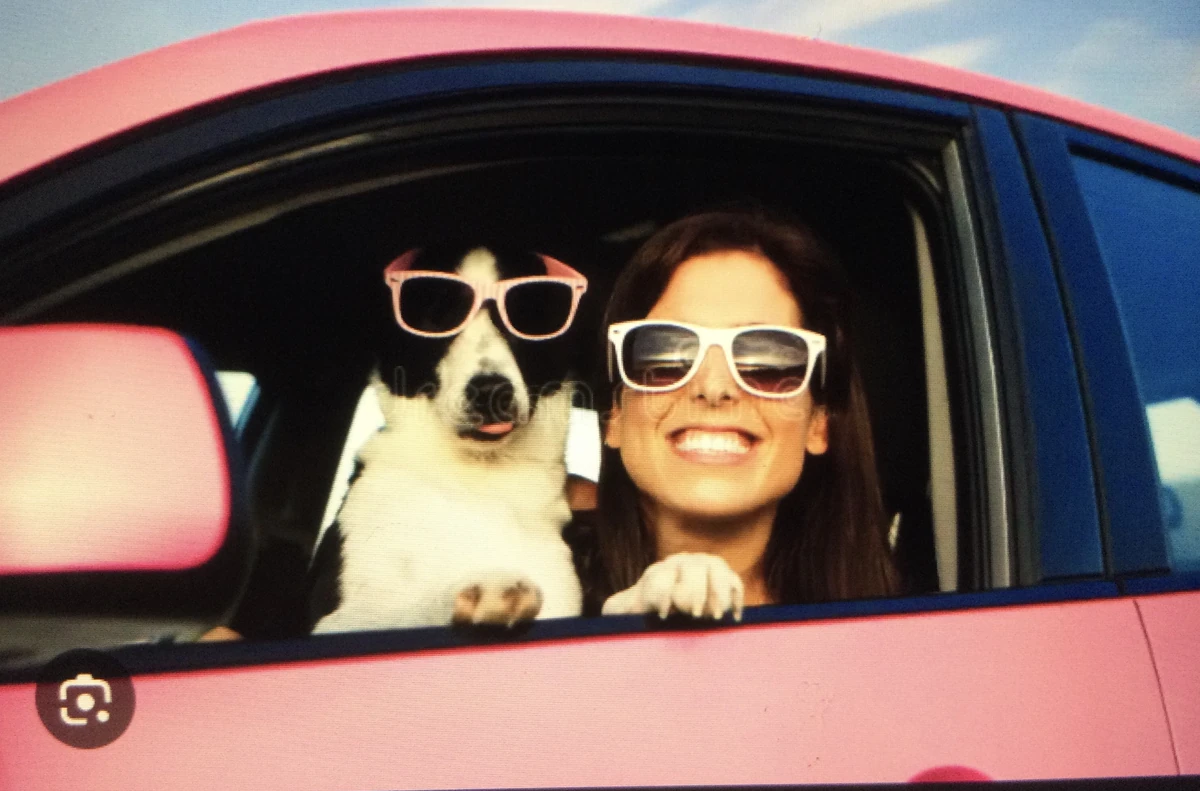 Nonsensical Synonyms Synonyms Antonyms Wiki Fandom Nonsensical Synonyms Synonyms Antonyms Wiki Fandom