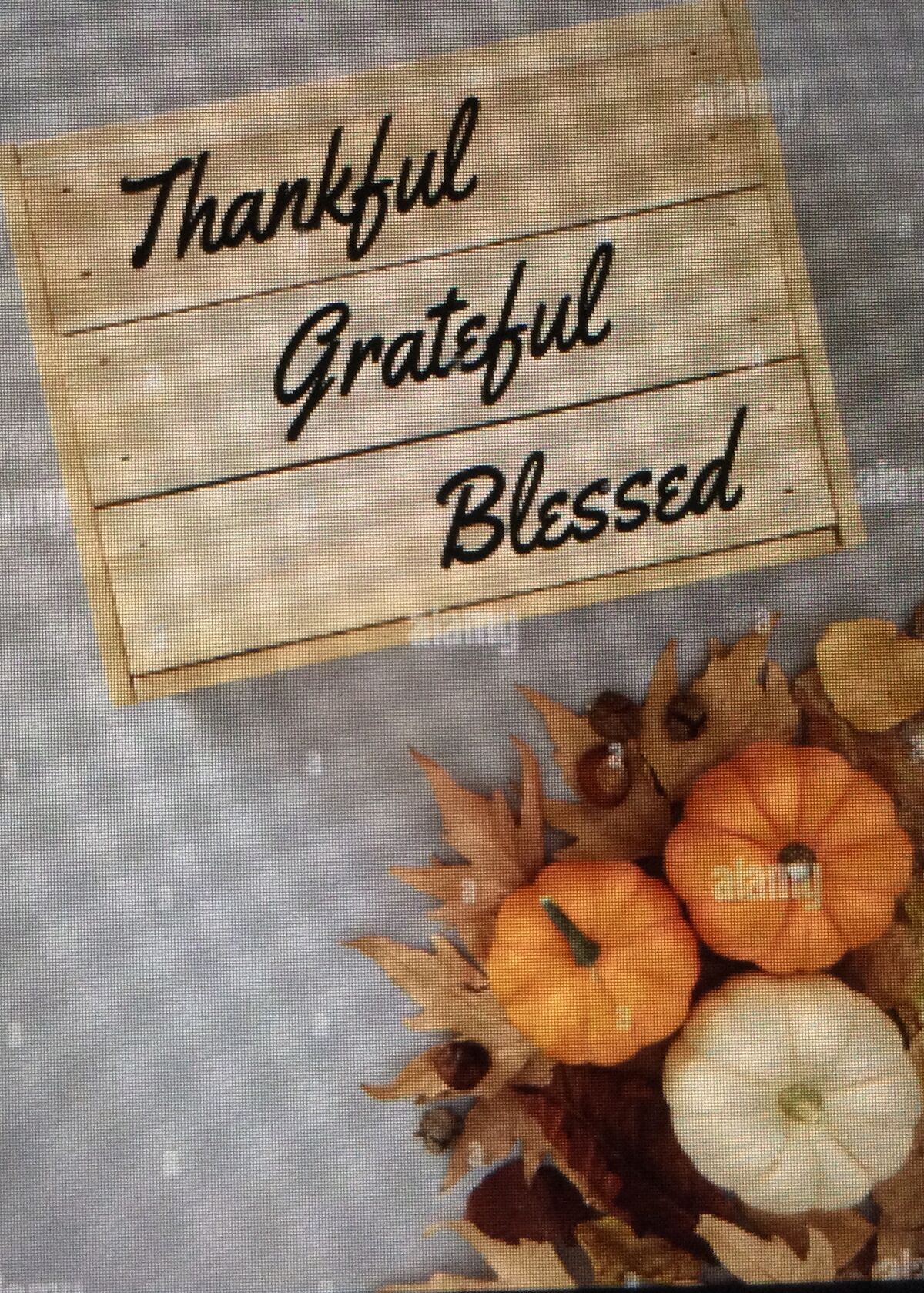Thankful Synonyms Synonyms Antonyms Wiki Fandom thankful-synonyms-synonyms-antonyms-wiki-fandom