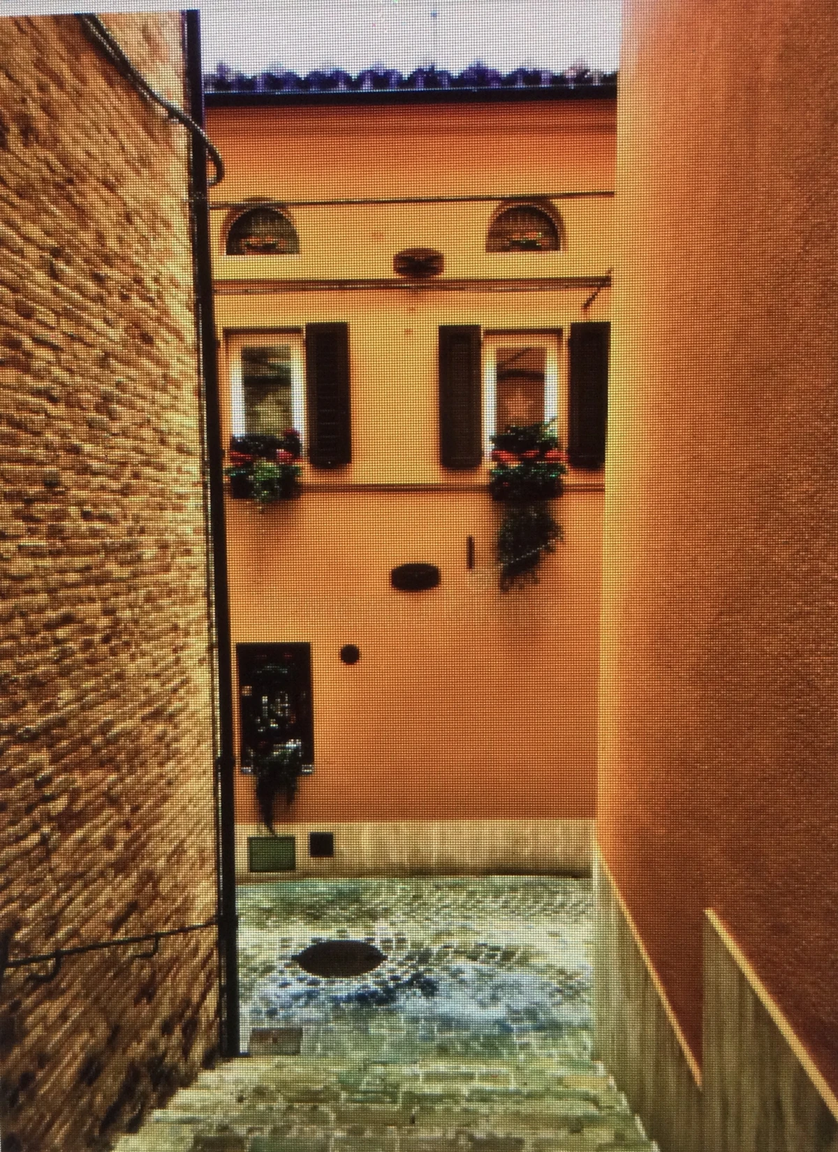 TIMELESS DEFINITION SYNONYMS visual data 6