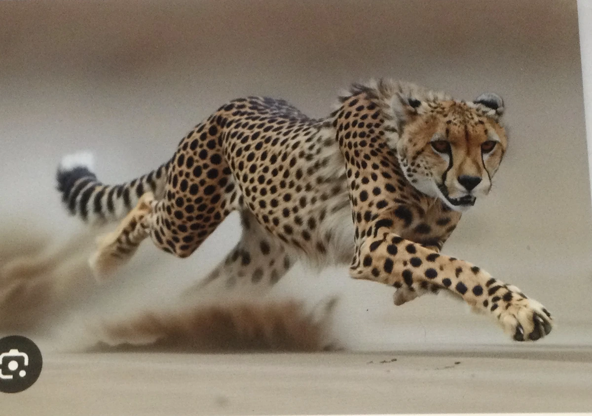 Fast Synonyms Synonyms & Antonyms Wiki Fandom