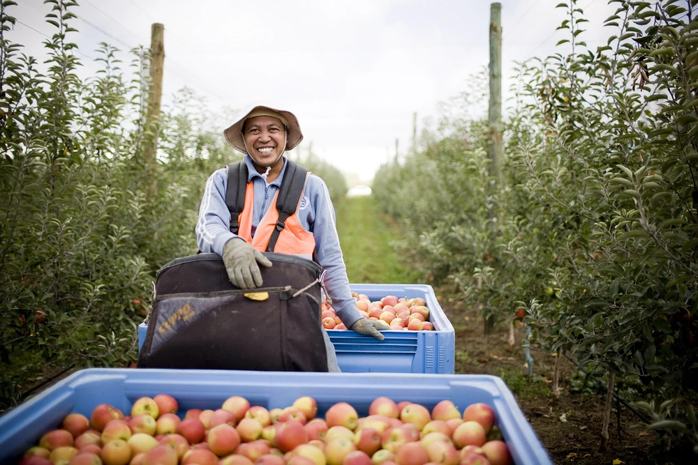 Wellharvested Synonyms Synonyms & Antonyms Wiki Fandom