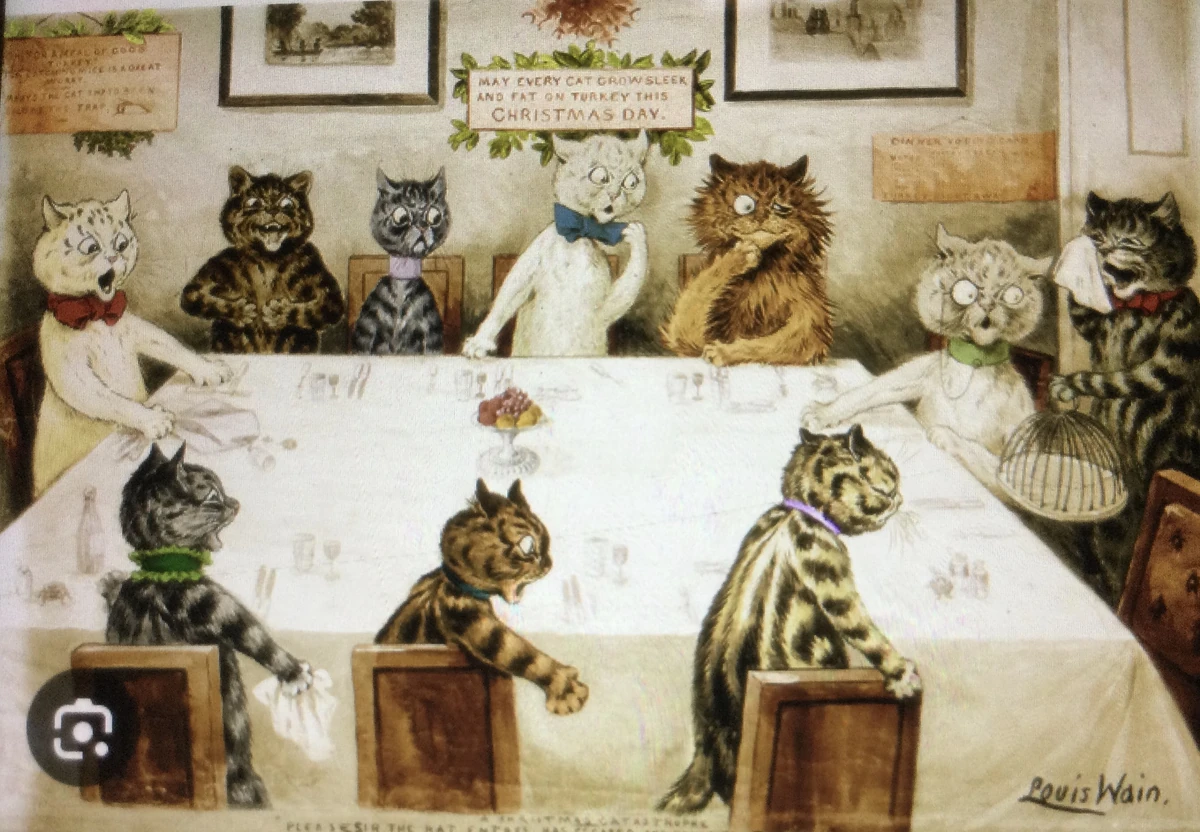 bonkers-synonyms-synonyms-antonyms-wiki-fandom