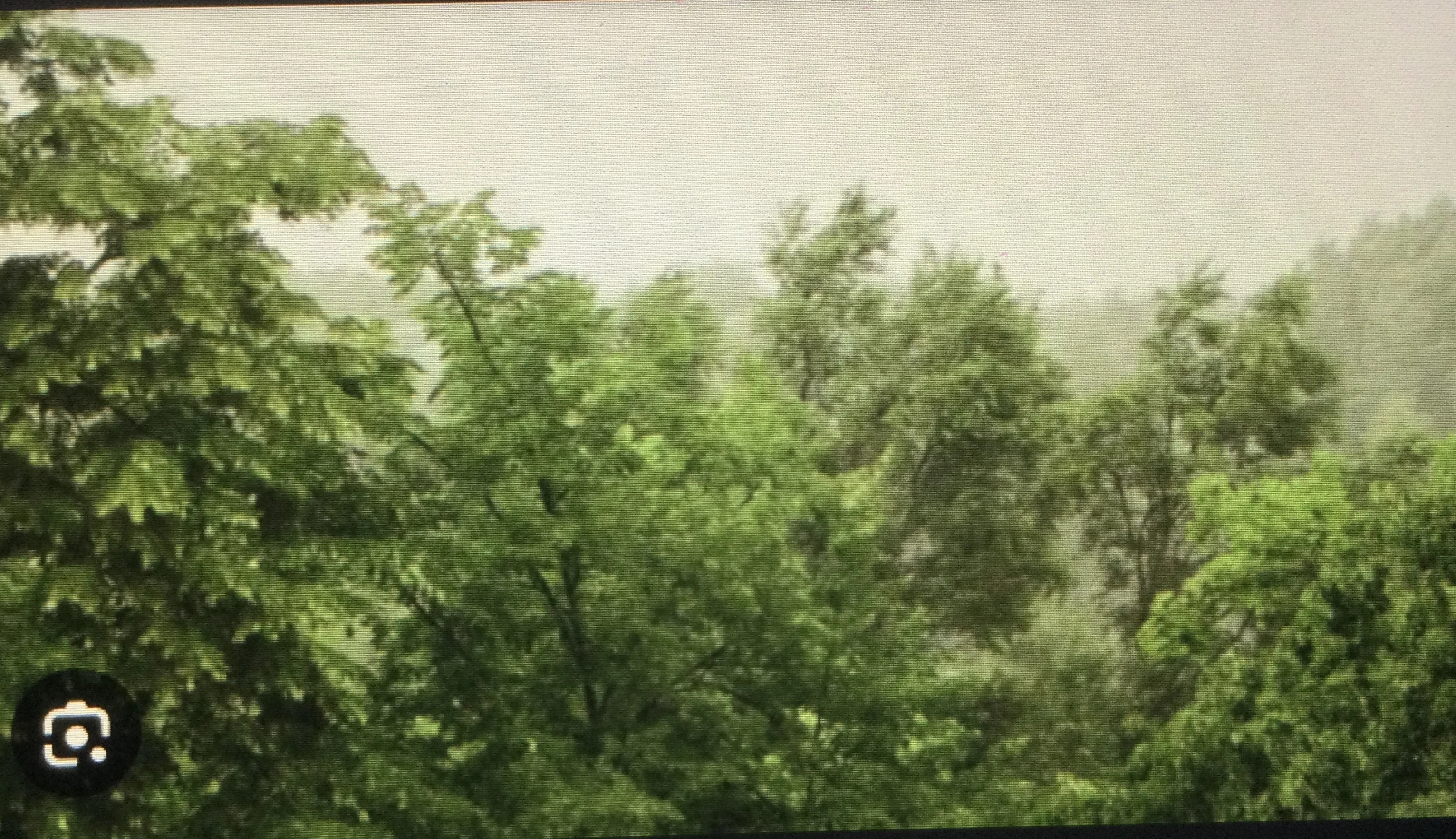 Turbulence Synonyms | Synonyms & Antonyms Wiki | Fandom