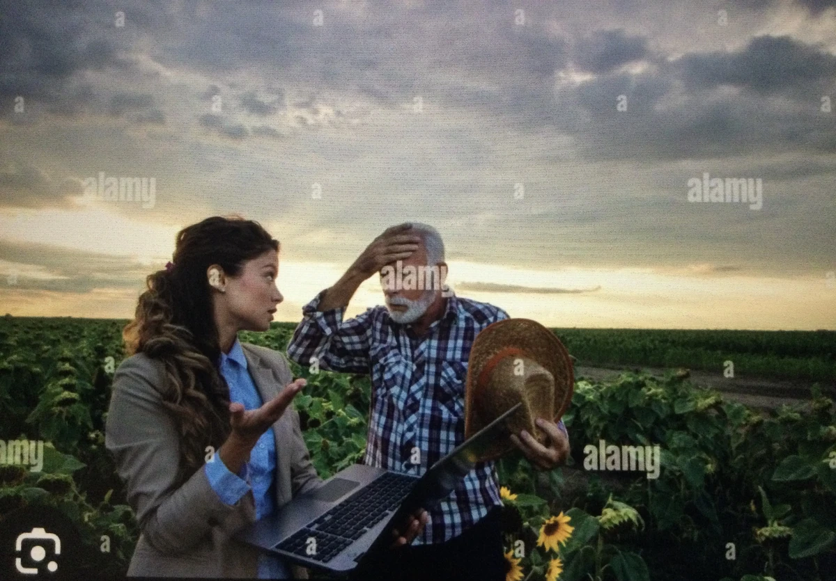 Frustration Synonyms Synonyms & Antonyms Wiki Fandom