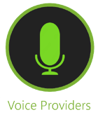 Voice Providers